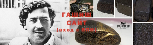 шишки Богородицк