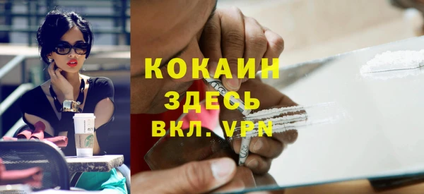 шишки Богородицк