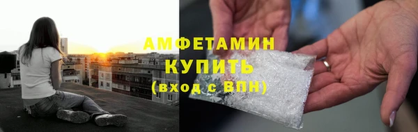 шишки Богородицк