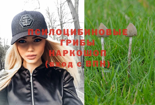 ALPHA-PVP Богданович