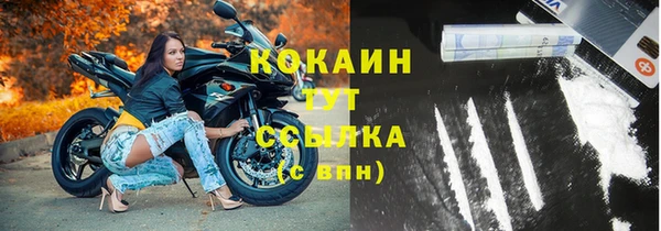 шишки Богородицк