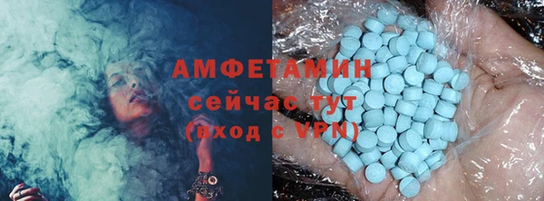 шишки Богородицк