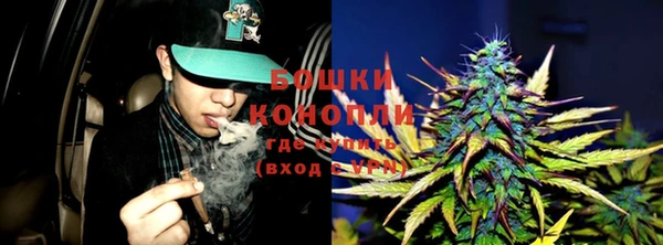 шишки Богородицк