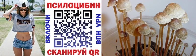 блэк спрут сайт  Сургут  Галлюциногенные грибы мицелий 